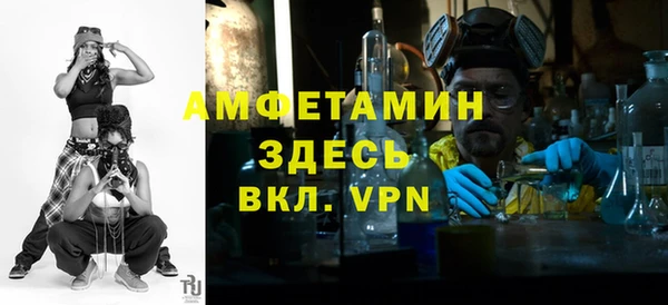 стаф Алзамай