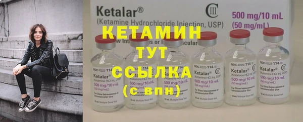 стаф Алзамай