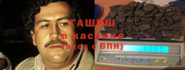 стаф Алзамай