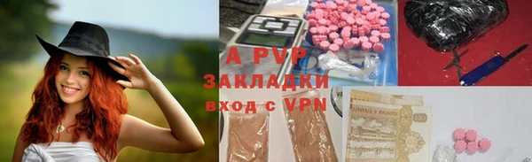стаф Алзамай