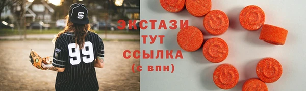 стаф Алзамай