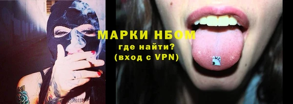 стаф Алзамай