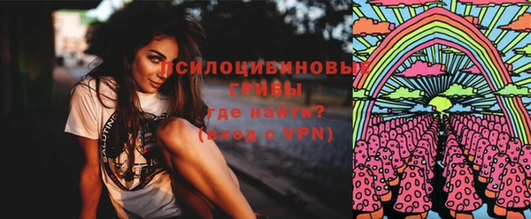 стаф Алзамай