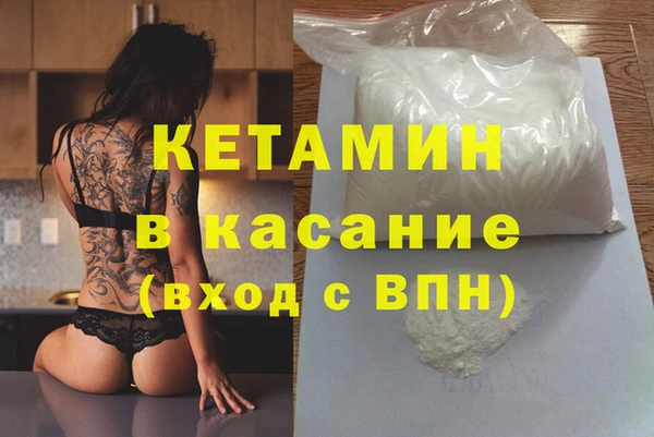 стаф Алзамай